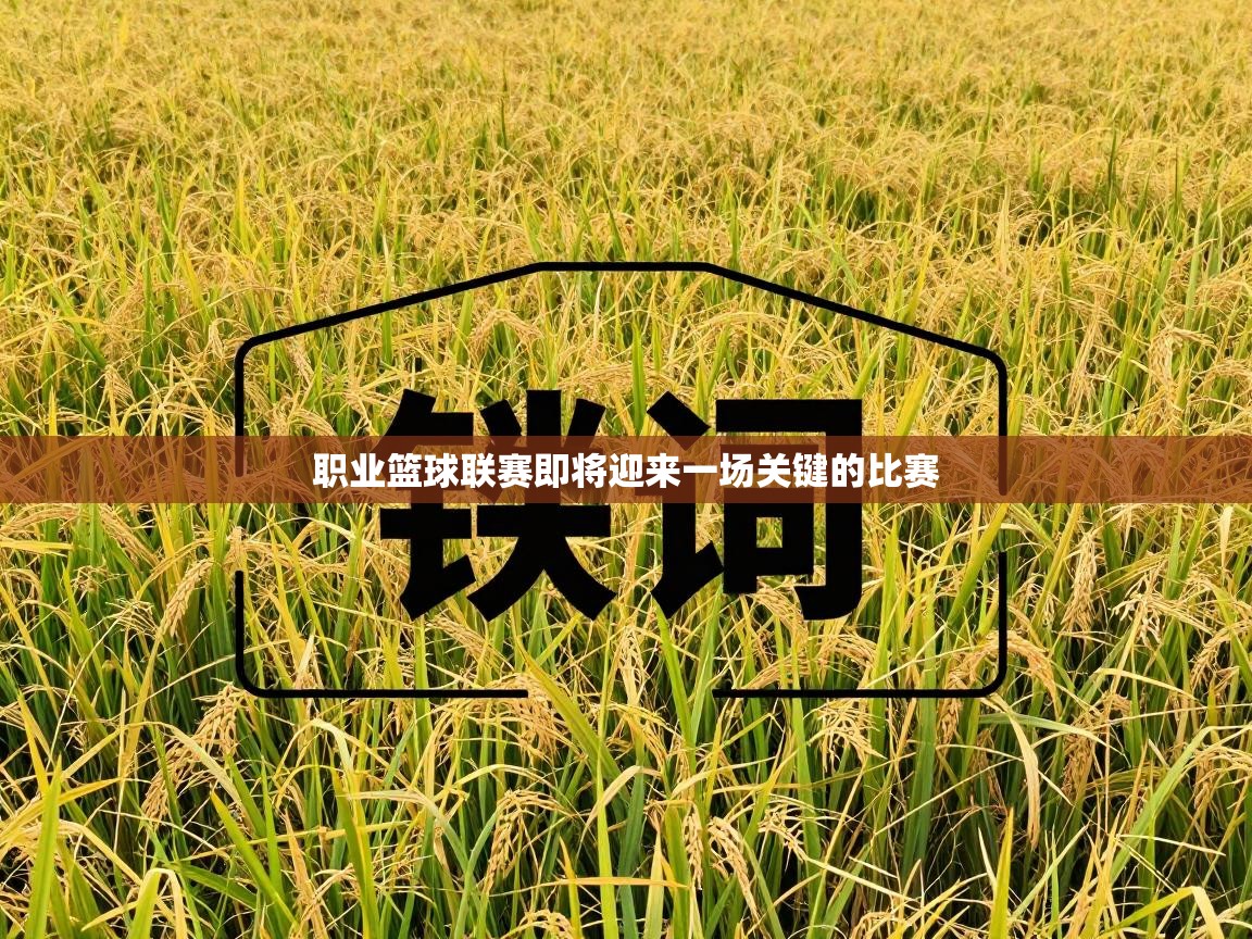 职业篮球联赛即将迎来一场关键的比赛  第1张