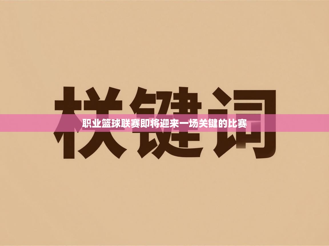 职业篮球联赛即将迎来一场关键的比赛  第2张