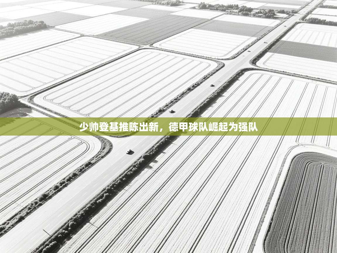 少帅登基推陈出新，德甲球队崛起为强队  第2张