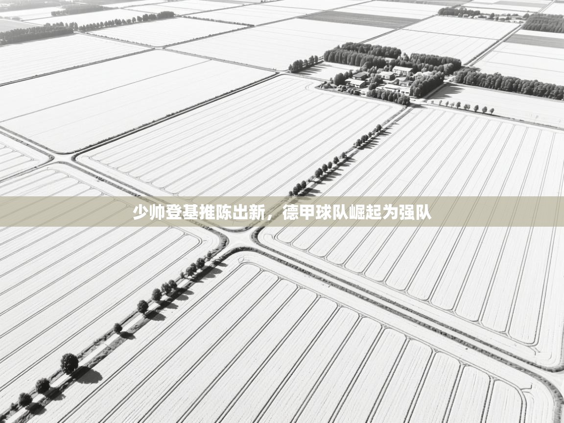 少帅登基推陈出新，德甲球队崛起为强队  第1张