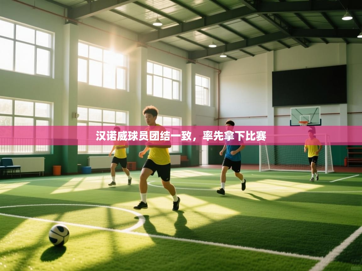 汉诺威球员团结一致，率先拿下比赛  第2张