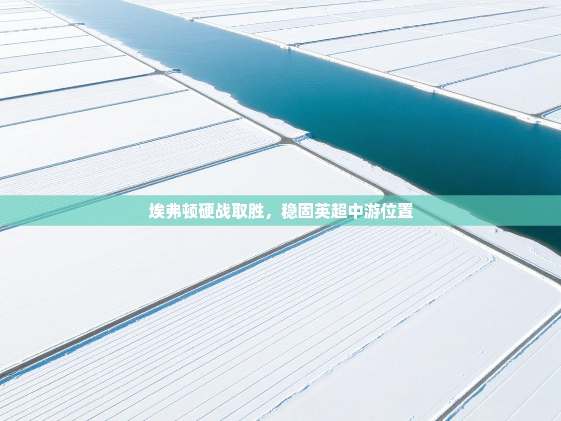 埃弗顿硬战取胜，稳固英超中游位置  第1张