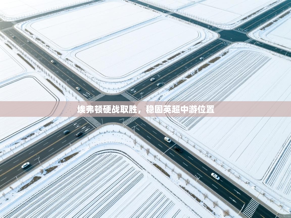 埃弗顿硬战取胜，稳固英超中游位置  第2张